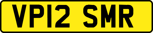 VP12SMR