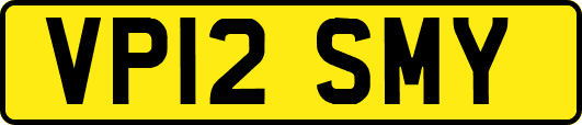 VP12SMY