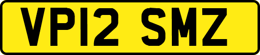 VP12SMZ