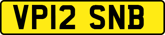 VP12SNB