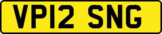 VP12SNG