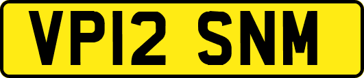 VP12SNM