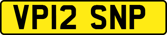 VP12SNP