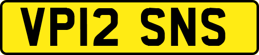 VP12SNS