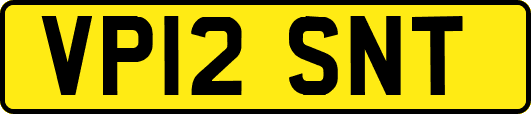 VP12SNT