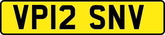 VP12SNV