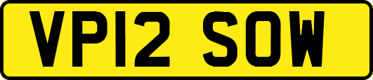 VP12SOW