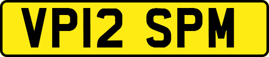 VP12SPM