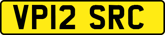VP12SRC