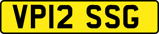 VP12SSG