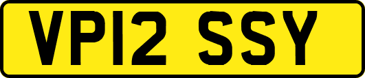 VP12SSY