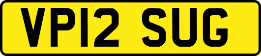VP12SUG