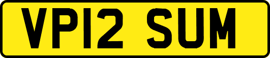 VP12SUM