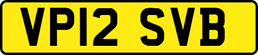 VP12SVB