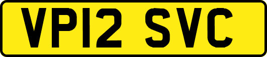 VP12SVC