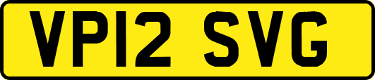 VP12SVG