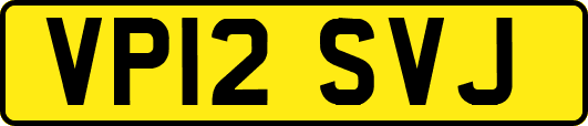 VP12SVJ