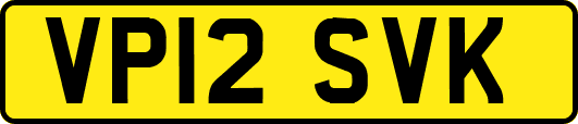 VP12SVK