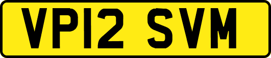 VP12SVM