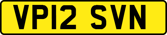 VP12SVN