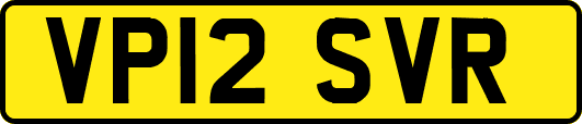 VP12SVR