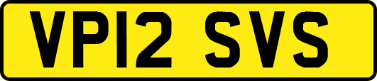 VP12SVS
