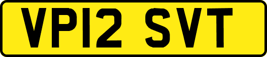 VP12SVT
