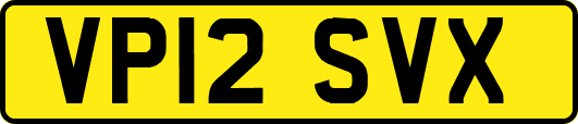 VP12SVX