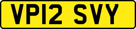 VP12SVY