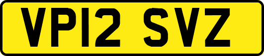 VP12SVZ