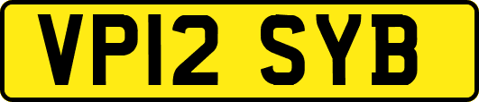 VP12SYB
