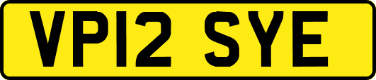 VP12SYE