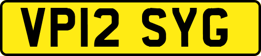 VP12SYG