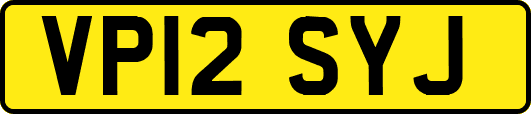 VP12SYJ