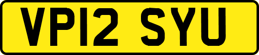VP12SYU