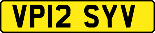 VP12SYV