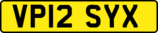 VP12SYX