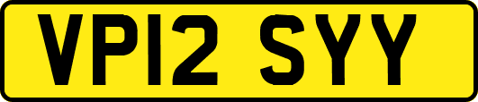 VP12SYY