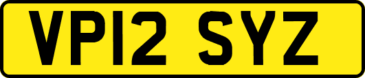 VP12SYZ