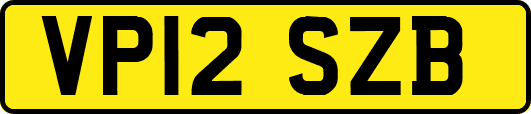 VP12SZB