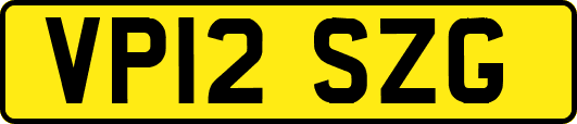 VP12SZG
