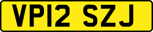 VP12SZJ