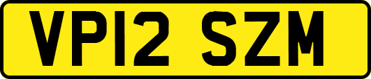 VP12SZM
