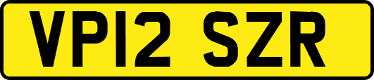 VP12SZR