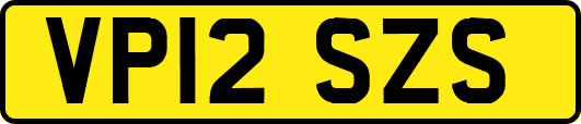 VP12SZS
