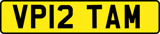 VP12TAM