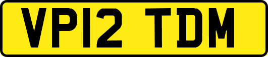 VP12TDM