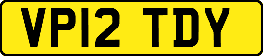 VP12TDY