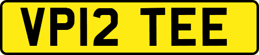 VP12TEE