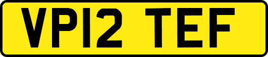VP12TEF